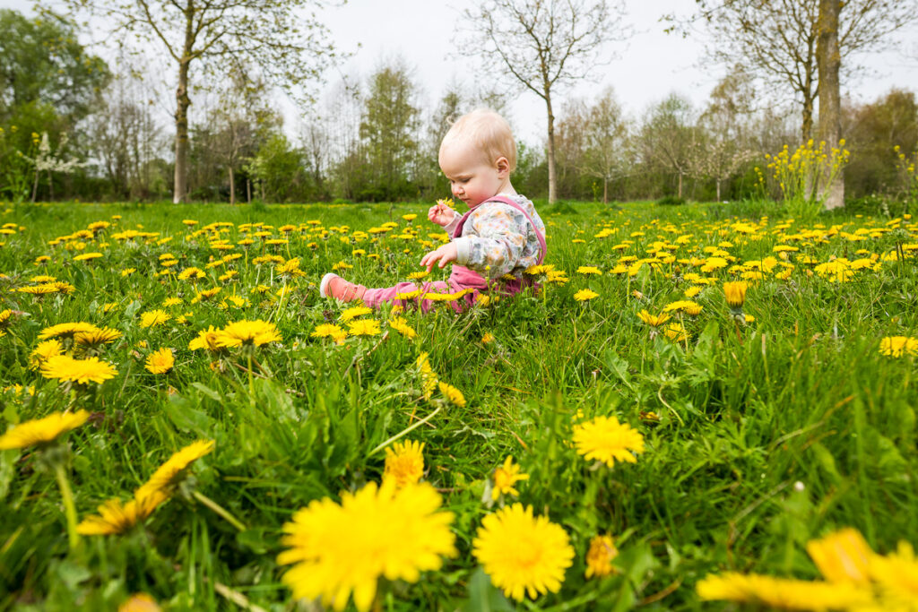 Kind speelt in bloemenveld tijdens fotoshoot