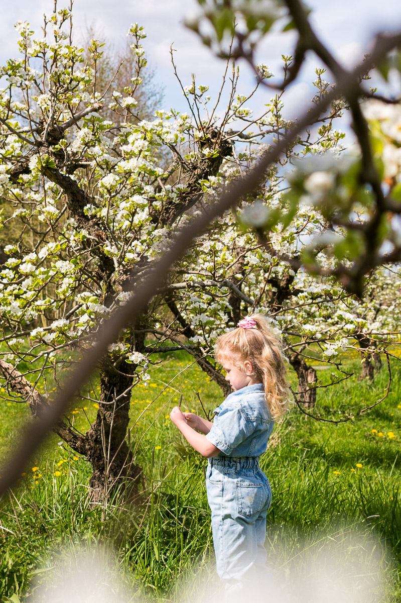 Kind speelt in bloemenveld tijdens fotoshoot Kind speelt in bloemenveld tijdens fotoshoot